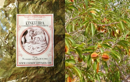 Go Africa® Kinkeliba Herbal Tea by Moriba, 20 sachets - Image 20